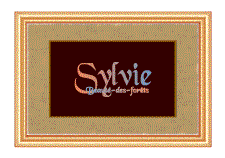 A REWARD FOR DONATIONS: FIRST NAME: FRENCH "S"