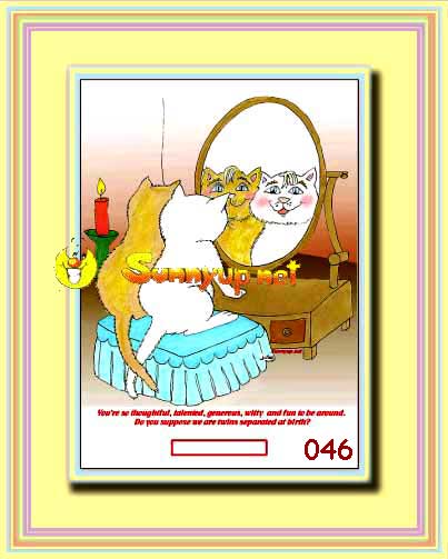 000 FRIENDS DIGITIZED CARTOONS
