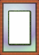 000 BATHROOM DIGITIZED CARTOONS