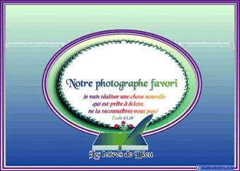 A   ART PHOTOGRAPHE FAVORITE