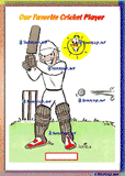 00 BALL SPORTS CRICKET PLAYER