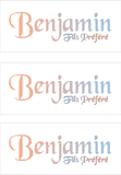 COMPATIBLE NAMES -- REWARD FOR DONATIONS: FRENCH "B"