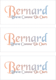 COMPATIBLE NAMES -- REWARD FOR DONATIONS: FRENCH "B"
