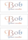 COMPATIBLE NAMES -- REWARD FOR DONATIONS: FRENCH "B"