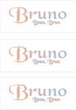 COMPATIBLE NAMES -- REWARD FOR DONATIONS: FRENCH "B"