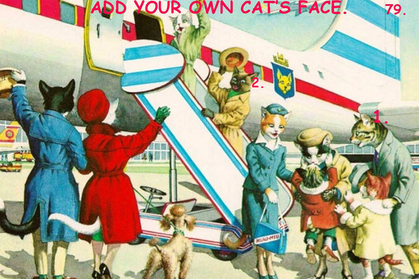 CAT AIRLINE TRAVELER 77 (12" x 18")