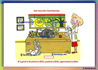00 CAT FAVORITE VETERINARIAN FEMALE