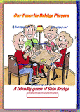 00 HOBBIES OUR FAVORITE BRIDGE PLAYER