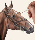 HORSE PORTRAITS -- CUSTOM