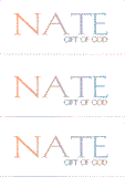 A REWARD FOR DONATIONS: FIRST NAME: LETTER "N"