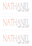 A REWARD FOR DONATIONS: FIRST NAME: LETTER "N"