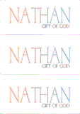 A REWARD FOR DONATIONS: FIRST NAME: LETTER "N"