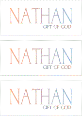 A REWARD FOR DONATIONS: FIRST NAME: LETTER "N"