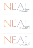 A REWARD FOR DONATIONS: FIRST NAME: LETTER "N"