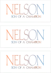 A REWARD FOR DONATIONS: FIRST NAME: LETTER "N"