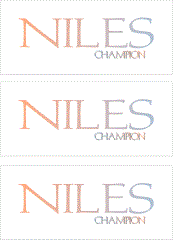 A REWARD FOR DONATIONS: FIRST NAME: LETTER "N"