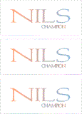 A REWARD FOR DONATIONS: FIRST NAME: LETTER "N"