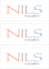 A REWARD FOR DONATIONS: FIRST NAME: LETTER "N"