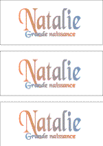 A REWARD FOR DONATIONS: FIRST NAME: FRENCH "N, O, P, Q"