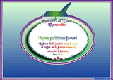A OCCUPATION POLITICIEN