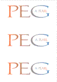 COMPATIBLE NAMES -- REWARD FOR DONATIONS: FEMALE "P"