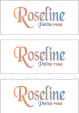 A REWARD FOR DONATIONS: FIRST NAME: FRENCH "R"