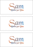 COMPATIBLE NAMES -- REWARD FOR DONATIONS: FRENCH "S"