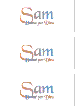 COMPATIBLE NAMES -- REWARD FOR DONATIONS: FRENCH "S"