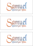 COMPATIBLE NAMES -- REWARD FOR DONATIONS: FRENCH "S"