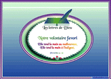 A  SOCIAL VOLONTAIRE