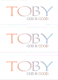 COMPATIBLE NAMES -- REWARD FOR DONATIONS: LETTER "T"