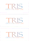 COMPATIBLE NAMES -- REWARD FOR DONATIONS: LETTER "T"