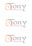 COMPATIBLE NAMES -- REWARD FOR DONATIONS: LETTER "T"