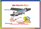 00 WATER SPORTS OUR FAVORITE SWIMMER